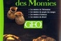 Affiche du film Le mystère des momies