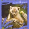 Affiche du film Les bébés animaux de la forêt d'Europe - Les bébés animaux de la forêt d'Europe 