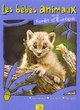 Affiche du film Les bébés animaux de la forêt d'Europe