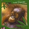 Affiche du film Les bébés animaux de la forêt tropicale - Les bébés animaux de la forêt tropicale 