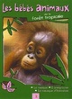 Affiche du film Les bébés animaux de la forêt tropicale