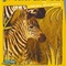 Affiche du film Les bébés animaux des plaines africaines - Les bébés animaux des plaines africaines 