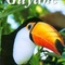 Affiche du film Guyane : l'espace nature - Guyane : l'espace nature 