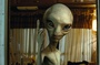 l extraterrestre paul