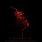 Affiche du film Anamorph - Anamorph 