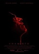 Affiche du film Anamorph
