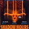 Affiche du film Shadow Hours - Shadow Hours 