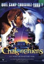 Affiche miniature du film Comme chiens et chats