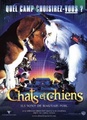 Comme chiens et chats