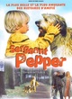 Affiche du film Sergeant Pepper