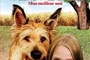 Affiche du film Winn Dixie, mon meilleur ami