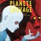 Affiche du film La planète sauvage - La planète sauvage 