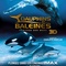 Affiche du film Dauphins et baleines 3D, nomades des mers - Dauphins et baleines 3D, nomades des mers 