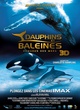 Affiche du film Dauphins et baleines 3D, nomades des mers
