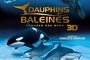 Affiche du film Dauphins et baleines 3D, nomades des mers