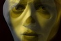 affiche teaser shelton