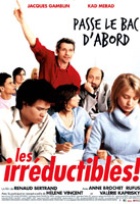 Affiche miniature du film Les Irréductibles