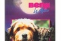 Affiche du film Benji la malice