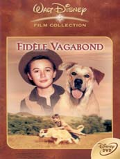Affiche du film Fidèle vagabond