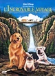 Affiche du film L'incroyable voyage