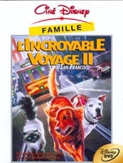 Affiche du film L'incroyable voyage 2