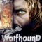 Affiche du film Wolfhound, l'ultime guerrier - Wolfhound, l'ultime guerrier 