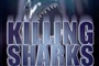 Affiche du film Killing Sharks