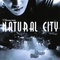 Affiche du film Natural City - Natural City 