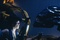 sigourney-weaver-face-a-alien-jpg
