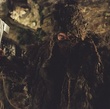 tomas hanak - Les frères Grimm
