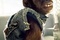 6-vbt2-character-poster-jpg