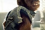 6-vbt2-character-poster-jpg