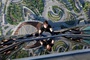 tom-cruise-escalade-jpg