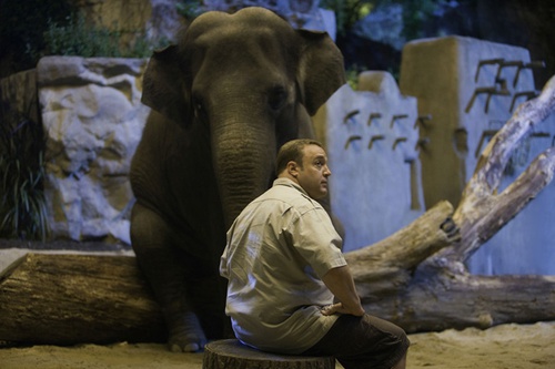 kevin-james-devant-l-elephant-jpg