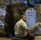 kevin-james-devant-l-elephant-jpg - Zookeeper 