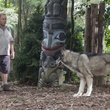 kevin-james-et-le-loup-jpg