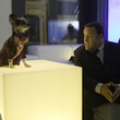kevin-james-et-un-chien-jpg