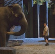 l-elephant-et-kevin-james-jpg