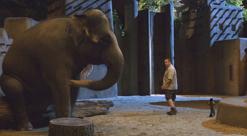 l-elephant-et-kevin-james-jpg