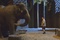 l-elephant-et-kevin-james-jpg
