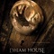 Affiche du film Dream House  - Dream House 