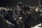channing-tatum-en-plein-combat-jpg