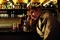 Louise Bourgoin