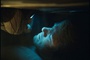 ryan reynolds touchant le plafond