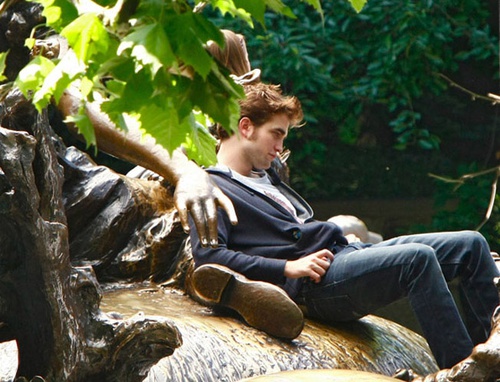 robert pattinson fontaine