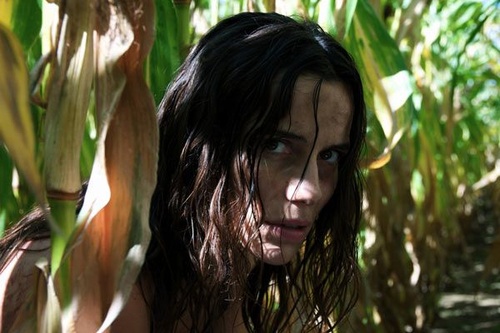 zoe felix en fuite