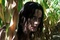zoe felix en fuite