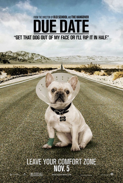 affiche teaser dog