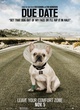 affiche teaser dog