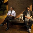 robert downey jr le chien zach galifianakis